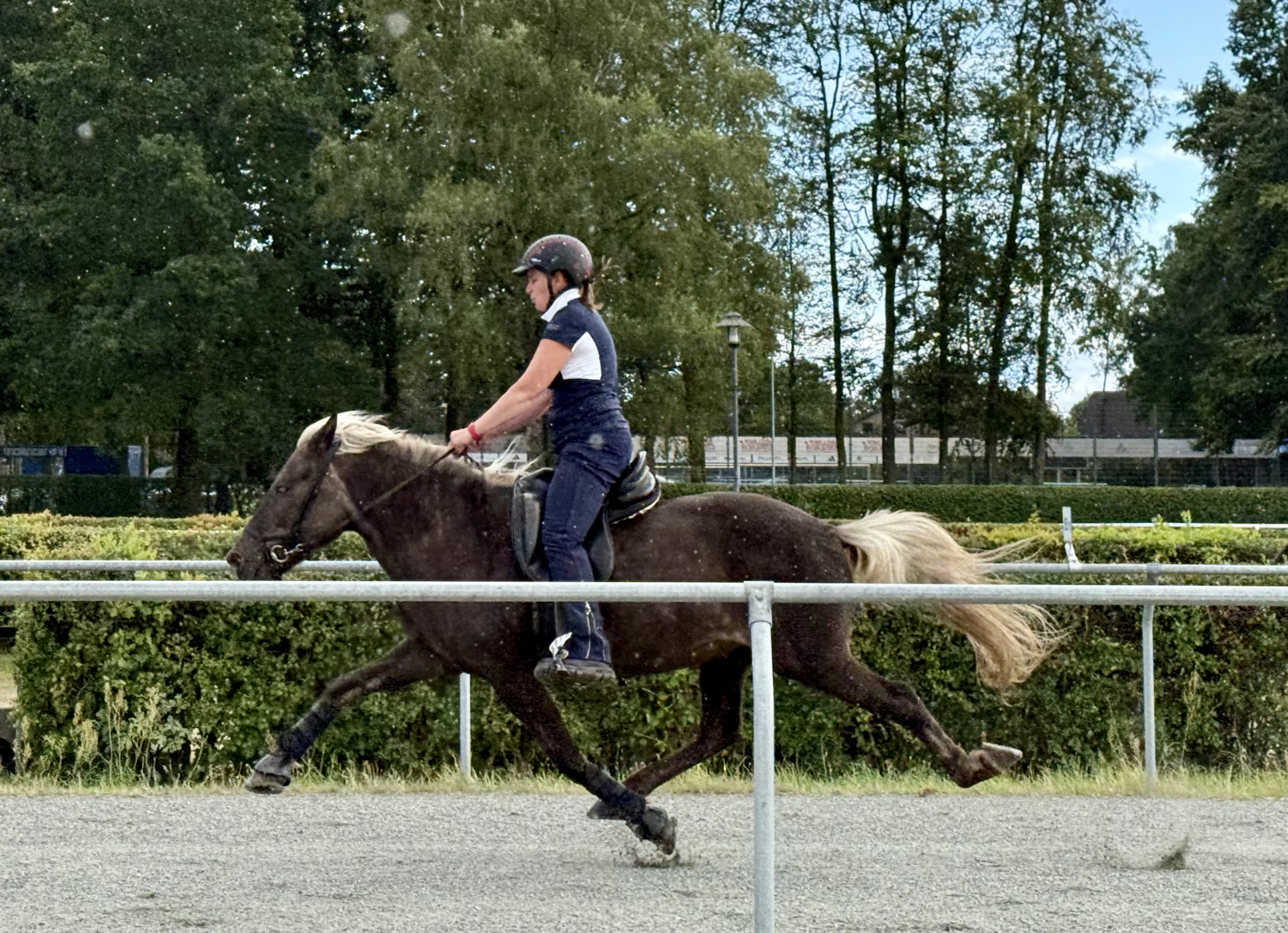 IMG 9455